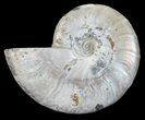 Silver Iridescent Ammonite - Madagascar #54884-1